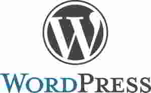 WordPress是什么意思？干什么的？能做什么网站？ 第2张