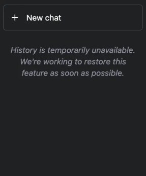 ChatGPT History is temporarily unavailable错误如何解决？